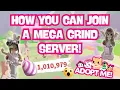 How Mega Grinding Servers ACTUALLY Work Adopt Me Guide
