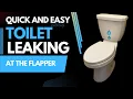 Fix a Leaking Toilet in 5 Minutes Flapper Replacement