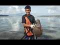 Download Lagu Menombak ikan langsung di bakar