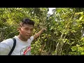 Download Lagu SAYANG SEKALI PIKAT BURUNG BANYAK YANG BONCOS, MIKAT BURUNG LIAR GELATIK KUTILANG DAN KAPASAN KEMIRI