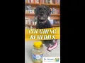 Download Lagu Quick and Easy Dog Coughing Remedies #shorts MP3