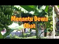 Download Lagu Menantu Dewa Obat bab 4 | Dewa obat yang tersembunyi
