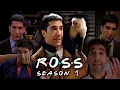 The Ones with Ross from Season 1 Friends