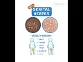 Download Lagu Genital Herpes