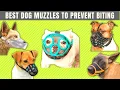 7 Best Dog Muzzles How To Groom An aggressive Dog