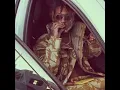 Download Lagu Juice WRLD- Murder Scene (unreleased)