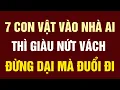 Download Lagu 7 Con Vật Này ĐẾN NHÀ AI NHÀ ĐÓ GIÀU NỨT VÁCH - Đừng Dại Mà Đuổi Chúng Đi