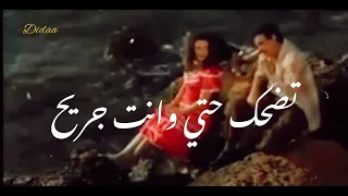 إسكندرية الصبية   حنان ماضي دندنها