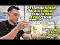 Download Lagu PETERNAK KENARI‼️Konsen mencetak SCOTCHFANCY LOKAL...