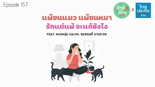 วิธีตรวจยืนยันว่าเป็นโรคภูมิแพ้จากแมวมีอะไรบ้าง