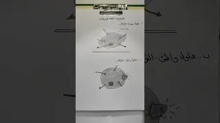 رسم التناضح في الخلية الحيوانية ص٢٨ احياء السادس العلمي 