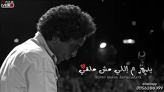مش قادر اعيش وخلاص المي غير الام الناس  دندنها