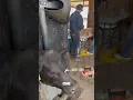 Stopping The Number 1 Killer of Cattle
