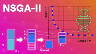 NSGA-II Optimization Understand fast how it works complete explanation