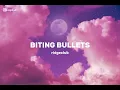 Ridgeclub - Biting Bullets | (Slowed + Reverb) 