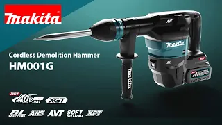 MAKITA CORDLESS DEMOLITION HAMMER HM001G