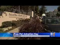 68 animals adopted at Pasadena Humane Society s free adoption day