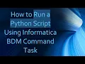 How to Run a Python Script Using Informatica BDM Command Task