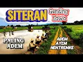Gending Jawa Siteran Paling Adem – Musik Jawa Tenang \u0026 Menyejukkan Hati #siteranjawa 