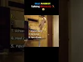 Download Lagu Best PARROT Talking Moments (You won't believe) 😂🦜
