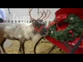 Christmas Gift Hobby Show 2016 30v