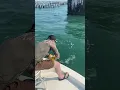 Download Lagu Kevlar leash breaks! Rod goes over while goliath grouper fishing!