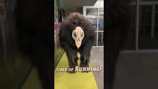 Exhausted Demon Monkey