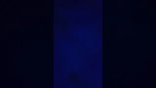 اسمع صوت واو 