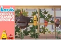 Download Lagu [Official] Beanstalks - Larva Season 2 Episode 42