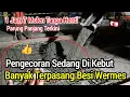 Download Lagu 1 JAM 7 MOLEN TANPA HENTI‼️PENGECORAN DI KEBUT,MANTAP.