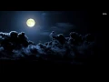 Insomnium - The Primeval Dark