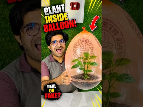 Can a Plant Grow in a Balloon #shorts #experiment #mrdastan003
