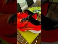 Download Lagu LYND Y-FLASH: tênis brasileiro por $299