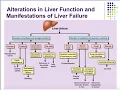 Pathophysiology Ch 37 38 Alterations in Function of the Gallbladder Pancreas and Liver Disease