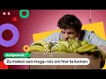 Download Lagu Hoe komen die grote spinnen in Nederland? 🕷️ | UITGEZOCHT #33