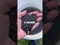 RAISING FROG ARMY