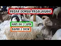 Download Lagu Harga domba Garut dan domba Priangan, hari ini 2 juta dapat 2 ekor (020925)