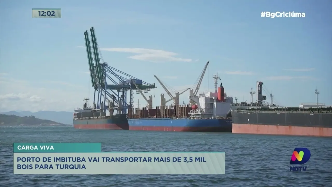 Porto de Imbituba: transporte carga viva até a Turquia é homologada