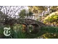 What to Do in San Francisco 36 Hours Travel s The New York Times