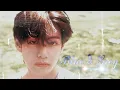 Download Lagu BTS \