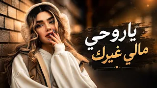 سومر حيدر   ياروحي مالي غيرك من بين كل الناس   تعالي ننسى الراح نبني دني أحلا دندنها