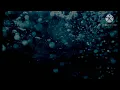Sena Kana  -  Up ft wiz Khalifa & Sheppard