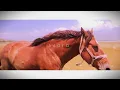 Download Lagu Kepe -  ΑΛΟΓΟ / ALOGO (Official Music Video)