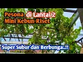 Download Lagu Inilah Kebun Riset Unik di Atas Dak Lantai 2, Tanamannya Super Subur!