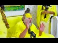 जब भाव से भरे पद को सुनकर महाराज जी बोले एक पद और सुनाओ ! Bhajan Marg
