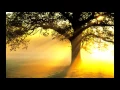 Follow The Sun Lyrics Xavier Rudd
