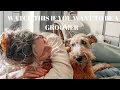 WATCH THIS BEFORE YOU START A DOG GROOMING BUSINESS mistakes I made dog grooming self employed