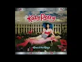 Katy Perry - I Kissed A Girl (Rock Version)