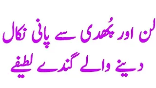 top 10 amazing latifa funny amaizing lateefay video urdu hindi stories rimsha health care 