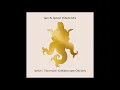 Download Lagu Jam \u0026 Spoon Tribute Mix | Stella's Tripomatic Kaleidoscope Odyssey
